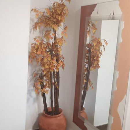Apartamento Gloria Patricia Алкантария Екстериор снимка