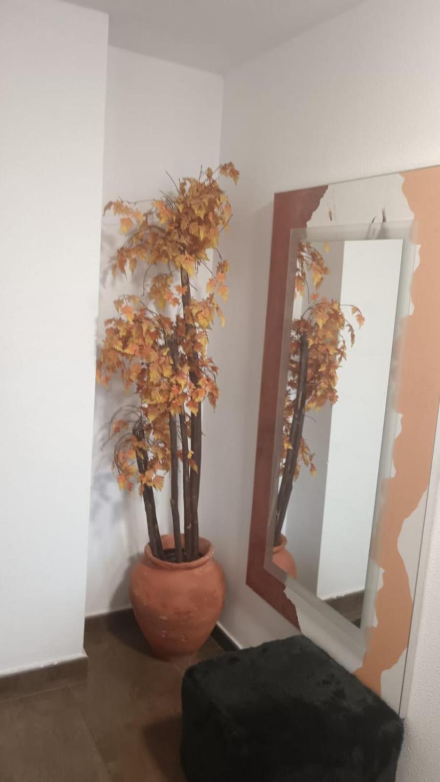 Apartamento Gloria Patricia Алкантария Екстериор снимка